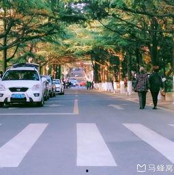 攸县网红小鱼ge,揭秘网络红人的魅力与影响力