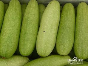 网红吃的白瓜,白瓜的独特魅力与美味诱惑