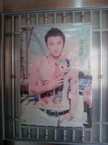 墙上明星,揭秘明星背后的故事与魅力