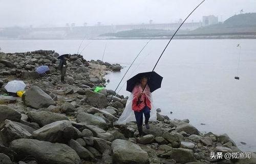 茅箭区网红钓鱼,探寻自然与休闲的完美融合