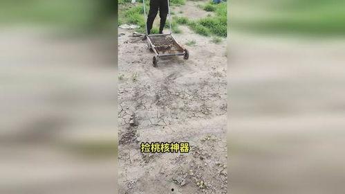 抖音农业装备网红,揭秘农装界新势力