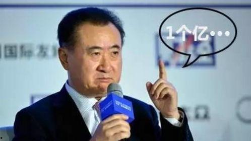 王健林女明星,商业巨头与璀璨星光的跨界传奇