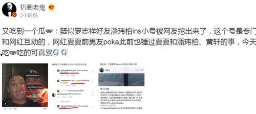 吃瓜事件网红网站是什么,吃瓜事件背后的网红网站风云