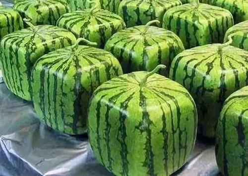 吃瓜新闻的由来,从吃瓜新闻看网络时代的舆论风向与娱乐化趋势