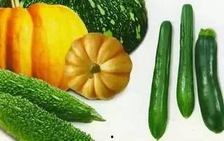 吃瓜看跌,揭秘市场动态背后的秘密