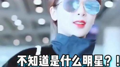 明星套路粉丝视频大全,揭秘明星套路粉丝的五大经典视频大盘点