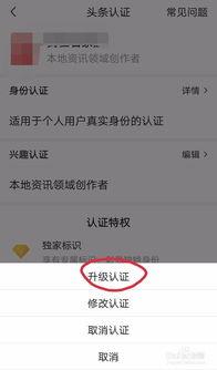 头条兴趣认证改不了昵称,昵称变更难题如何破解？