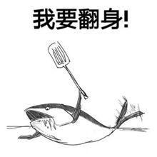 网友爆料咸鱼视频大全,网友爆料揭秘网络奇观