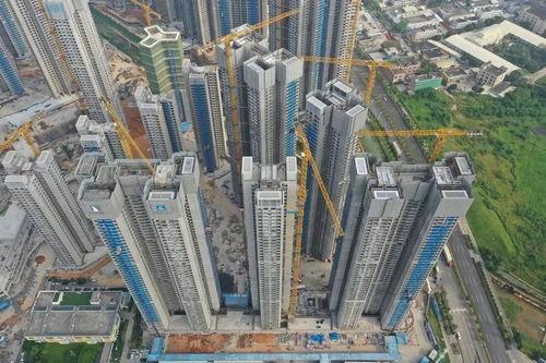 深圳公租房网红打卡