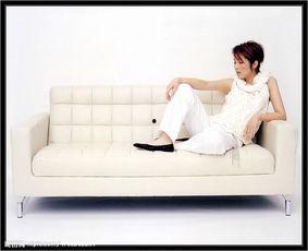 各明星的家具图片