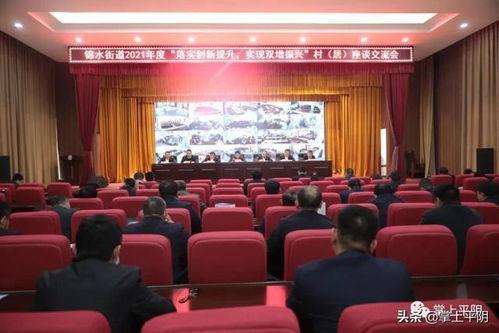 平阴新闻头条,聚焦乡村振兴，共话发展新篇章