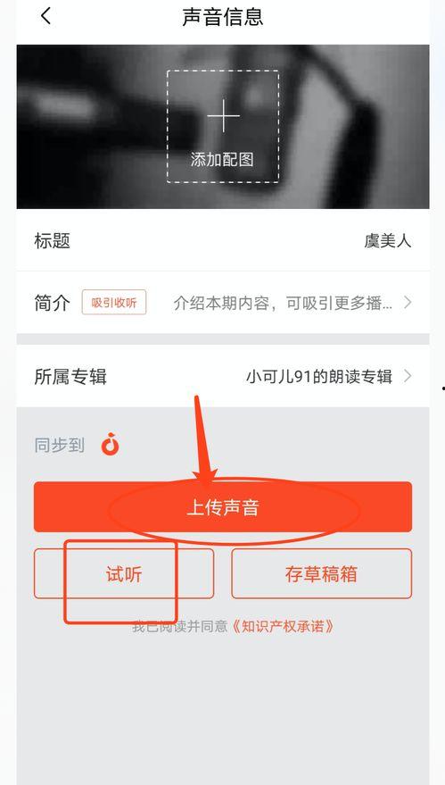 头条好的音频在哪下载