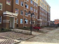 驻马店网红小区有哪些,探寻城市新地标