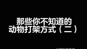 安雷头条哈 啊,揭秘热点事件背后的真相