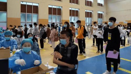 石家庄抓爆料人最新消息,最新进展揭秘