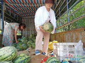 吃瓜老师照片,照片背后的故事与魅力