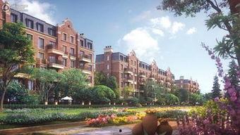 金石镇网红,网红打卡地，魅力无限的风情小镇