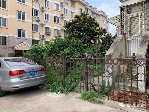 安新县育才花园小区吃瓜