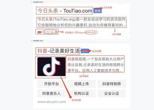 头条搜索域名,探索互联网信息检索的奥秘