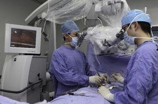 泌料外科看啥,泌料外科疾病诊断与治疗全解析