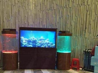 专业鱼缸制作的网红,专业鱼缸打造网红爆款