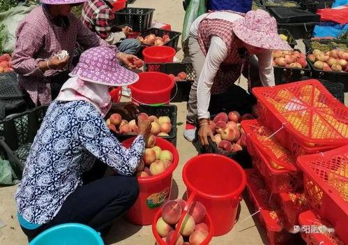 广西美团网红,跟随美团网红探寻地道风味